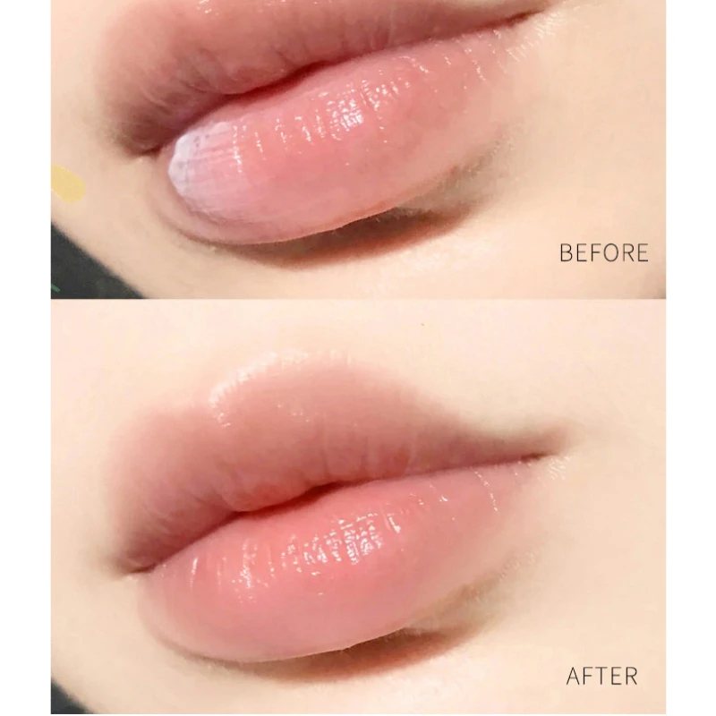 1Pc Natural Plant Lip Balm Moi - Lip Tint Korean avaliação e preço